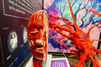 in premiera pentru bucuresteni centrul comercial auchan titan aduce expozitia interactiva the brain mind emotions 6978c863e987b