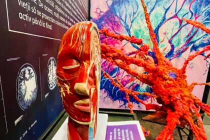 in premiera pentru bucuresteni centrul comercial auchan titan aduce expozitia interactiva the brain mind emotions 6978c863e987b
