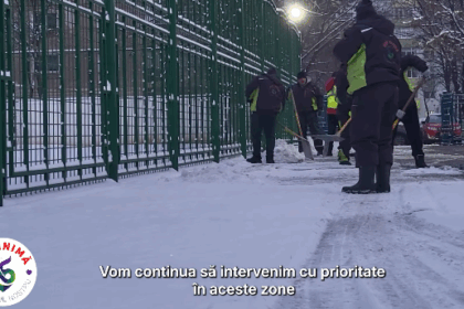 interventii zilnice la scolile din sectorul 5 pentru siguranta elevilor vlad popescu piedone monitorizam permanent situatia si intervenim prompt 6964e0c8c909f