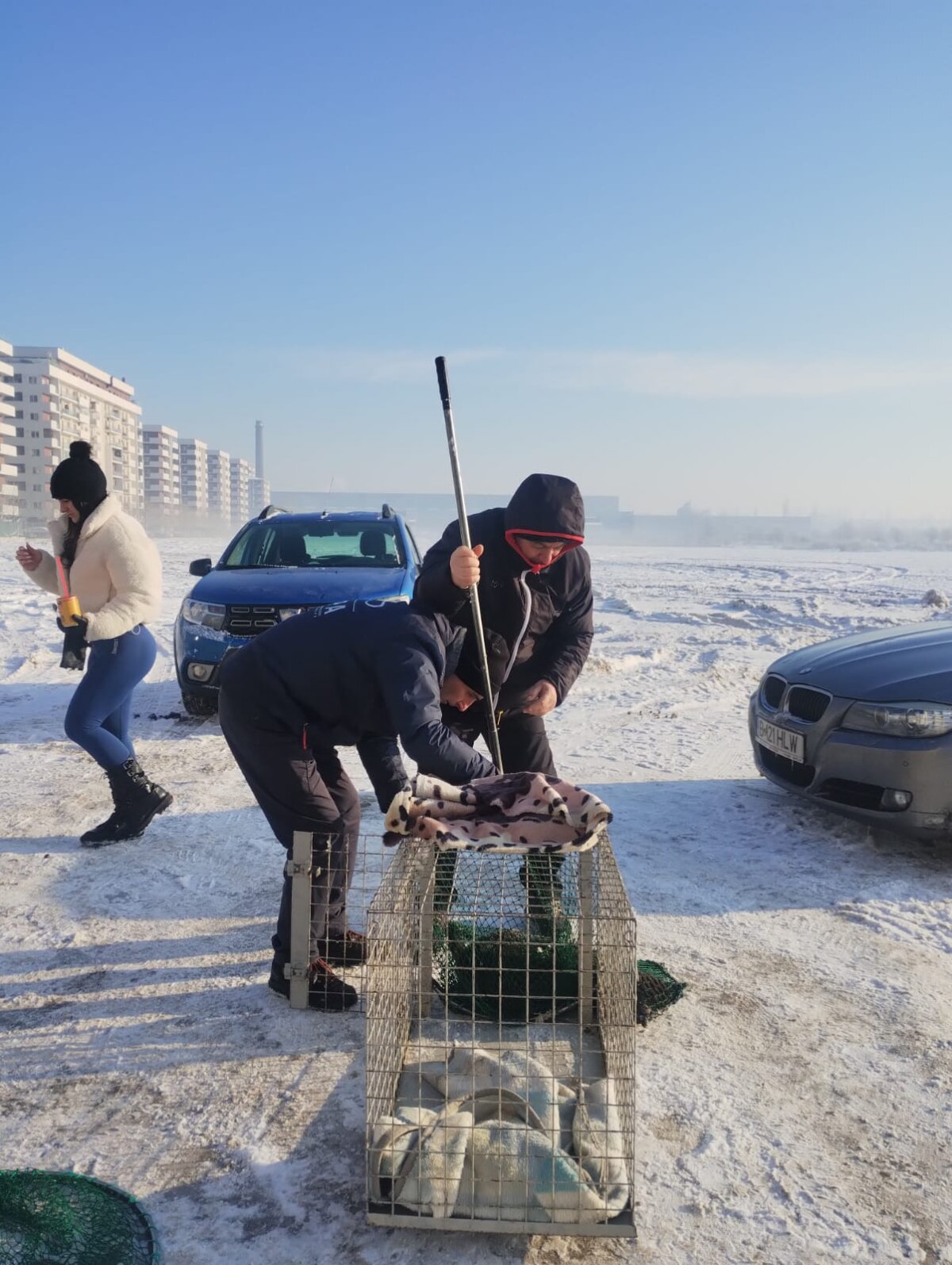 mai multi caini capturati de aspa in ultimele zile 6971afd2c4eaf