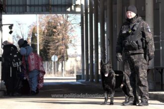 politia de frontiera a republicii moldova crestere impresionanta a utilizarii platformei e permis 6975b229dc306