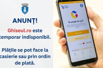 primaria orasului pantelimon plata taxelor locale prin ghiseul ro este temporar indisponibila 695f9002bdbce