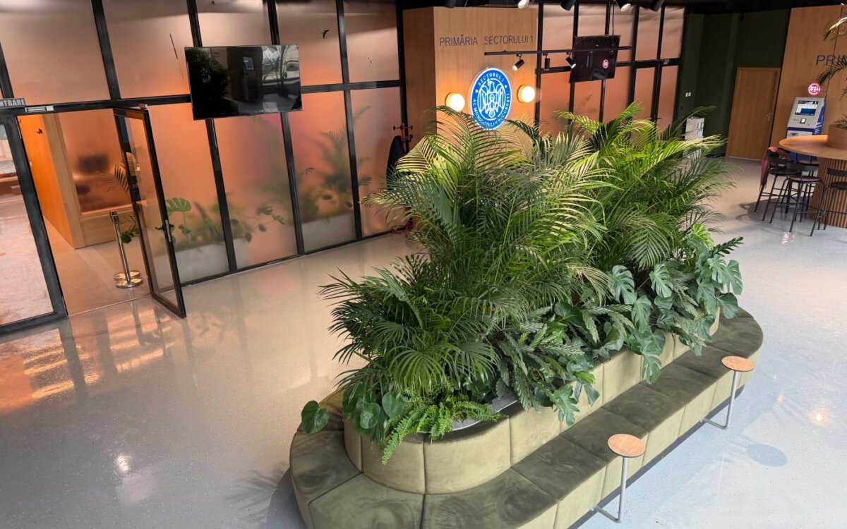primaria sectorului 1 a deschis biroul cetateanului un spatiu unic pentru servicii publice 697c8a01106f7