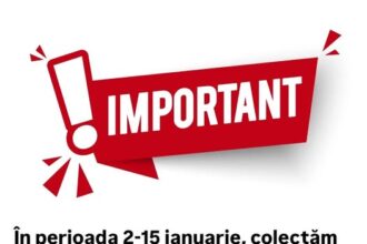 primaria sectorului 5 brazii de craciun colectati gratuit 6957b18d18fd0