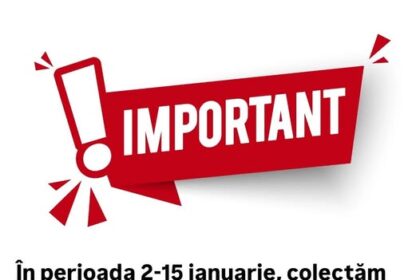 primaria sectorului 5 brazii de craciun colectati gratuit 6957b18d18fd0