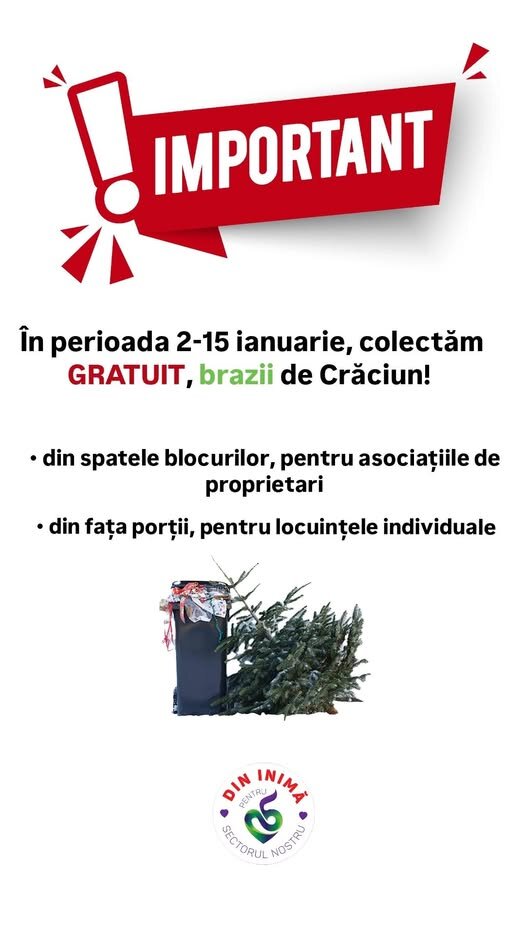primaria sectorului 5 brazii de craciun colectati gratuit 6957b18d18fd0