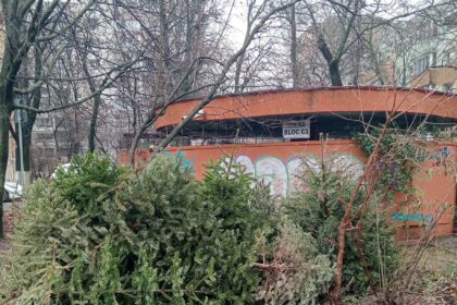 primaria sectorului 6 a inceput actiunea de colectare a brazilor naturali de craciun 695d56af5cb24