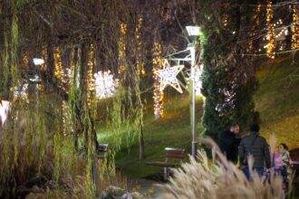 primaria sectorului 6 luminitele de sarbatori se sting din 12 ianuarie 69628d41ca43c