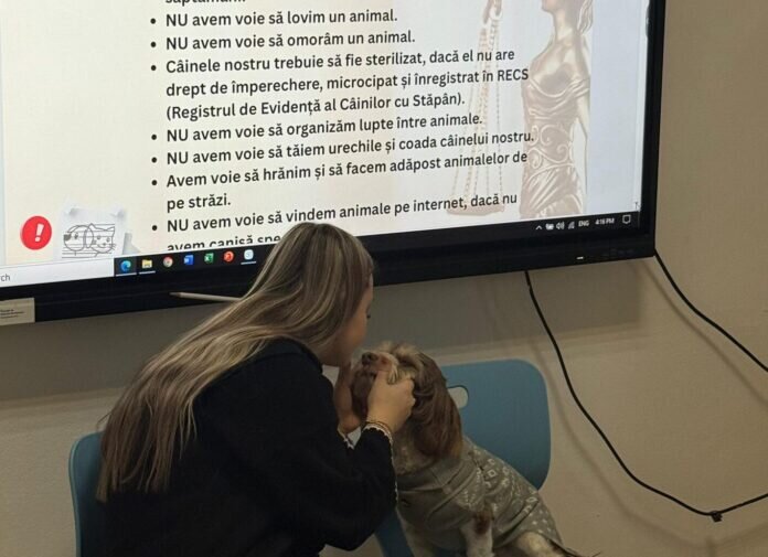 protectia animalelor cj ilfov educatia pentru respectul fata de animale tot mai apreciata in scolile din judet 696a2cfa11fe4