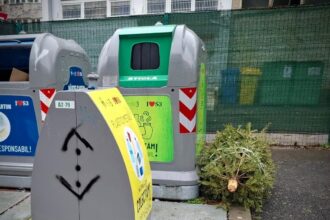 robert negoita anunta reguli clare pentru colectarea brazilor de craciun in sectorul 3 695b8660b778d