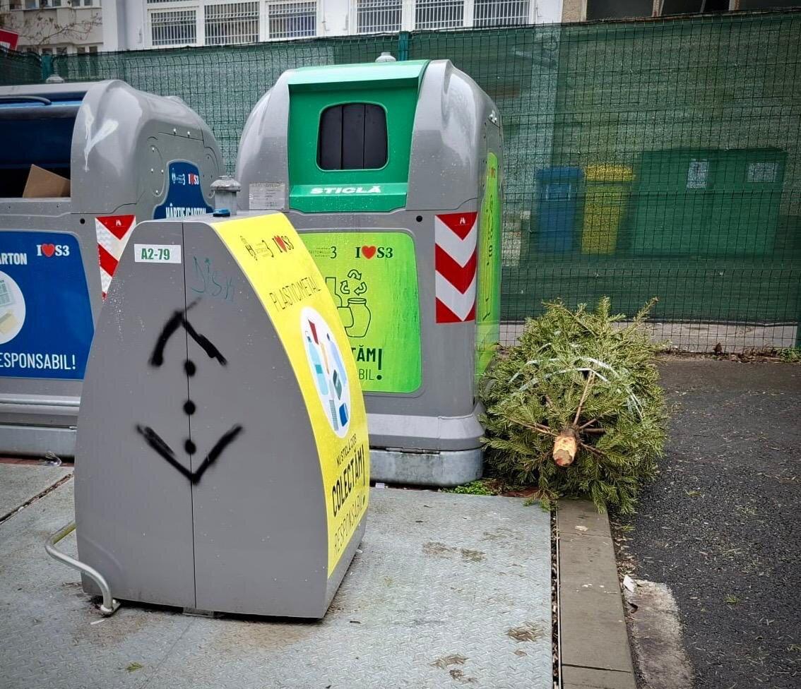 robert negoita anunta reguli clare pentru colectarea brazilor de craciun in sectorul 3 695b8660b778d