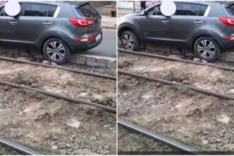 video lupta unui sofer bucurestean cu sina de tramvai pe care a aterizat in chip nefericit sanse de izbanda zerof09fa4a8 6958d9aee423a