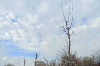 vreme de iarna obisnuita in bucuresti temperaturi normale si precipitatii mixte pana vineri 6970aa5daf6b8