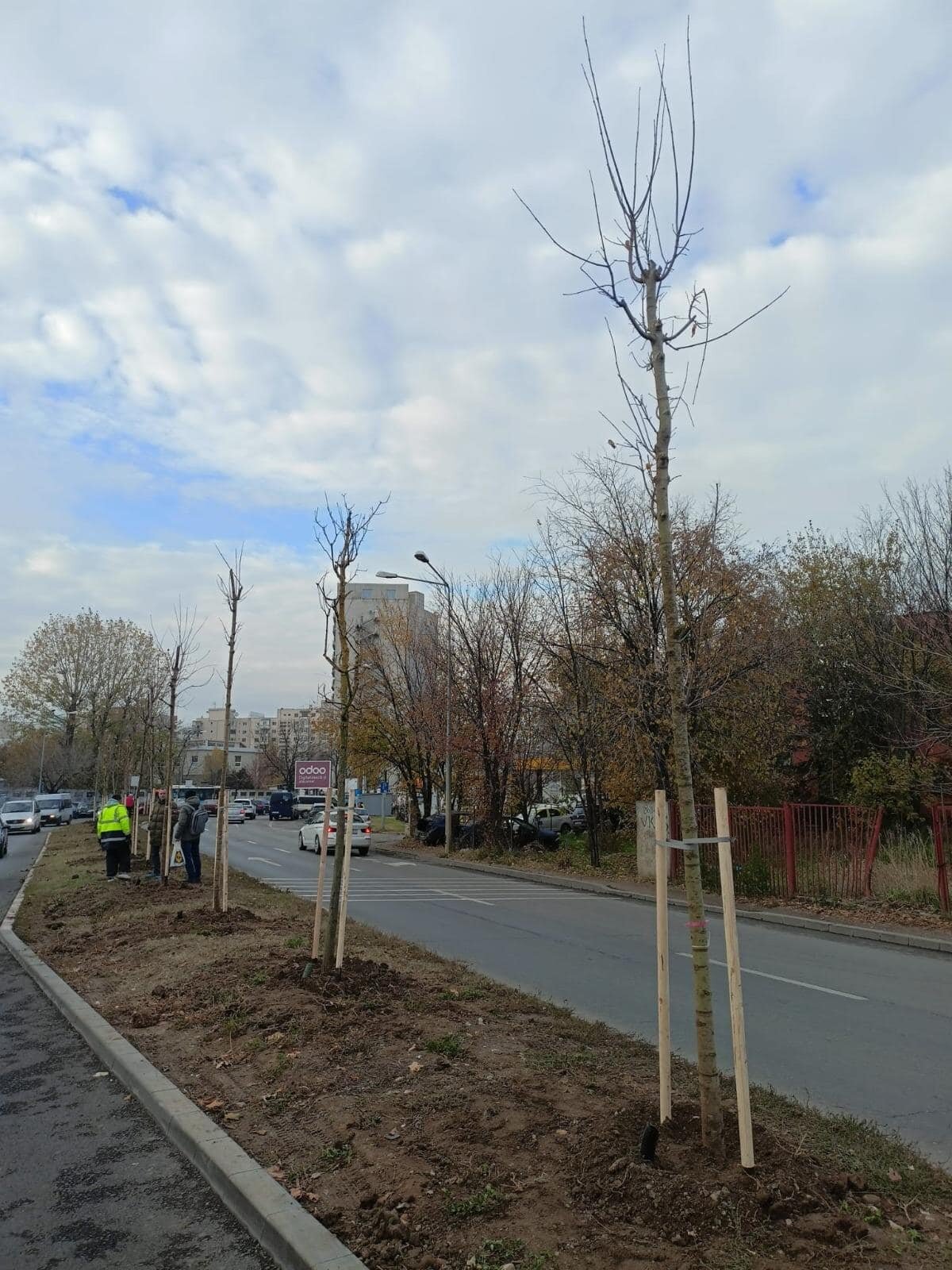 vreme de iarna obisnuita in bucuresti temperaturi normale si precipitatii mixte pana vineri 6970aa5daf6b8