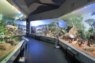 ziua culturii nationale intrare gratuita la muzeul antipa in expunerea permanenta si in expozitia de tarantule vii 69669f4435a74