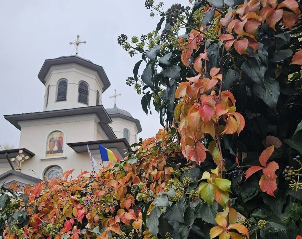 200 de lei furati dintr o biserica din sectorul 2 suspectul sub control judiciar 6981cc7e721e4