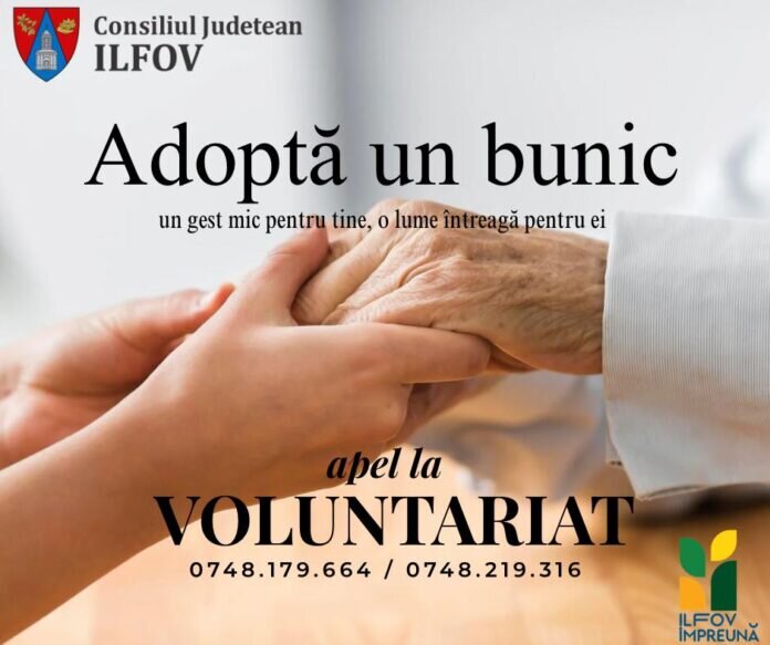adopta un bunic proiect al cj ilfov pentru sprijinirea varstnicilor fara ajutor apel la voluntariat 699427c165529