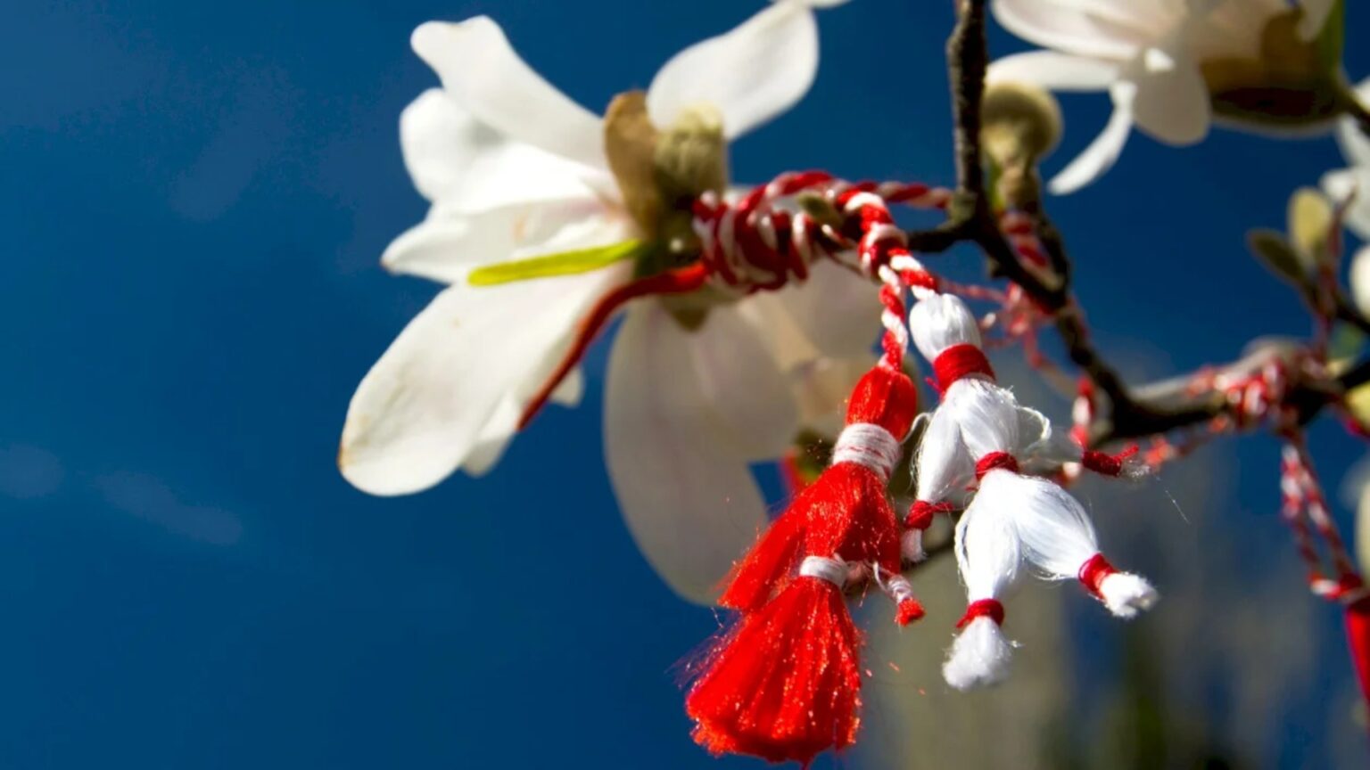 bucuresti de weekend f09f8cbc targuri de martisor tocanita pentru toti bobita salonul des refuses expozitii petreceri si multe alte evenimente in capitala 699fb4339df8c