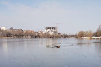caini blocati pe lacul din parcul dobroesti salvati de isu si aspa bucuresti 69858b12322db