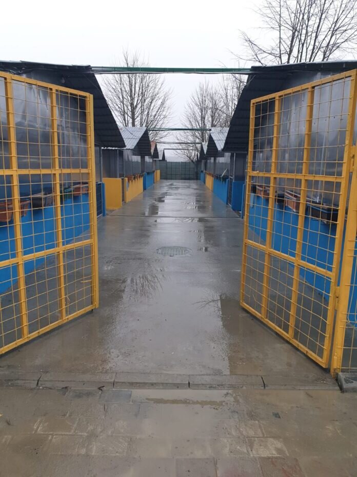 consiliul judetean ilfov va amenaja un centru de adoptii de caini 699015e413ec6