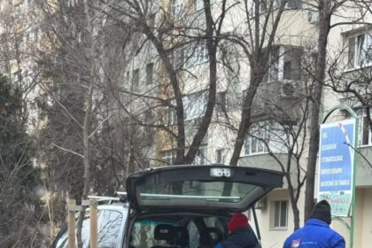 fostul primar al sectorului 2 il acuza pe actualul edil ca taie copaci ilegal primaria neaga 698c0d83adedd