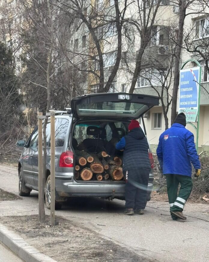 fostul primar al sectorului 2 il acuza pe actualul edil ca taie copaci ilegal primaria neaga 698c0d83adedd