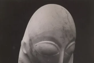 in anul constantin brancusi art safari new museum deschide expozitia brancusi si muzele sale curatoare doina lemny 699701d1604bc