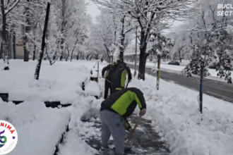 interventii continue in sectorul 5 pentru curatarea trotuarelor nu ne vom opri pana cand fiecare artera nu va fi pusa la punct 6995cda54d05b