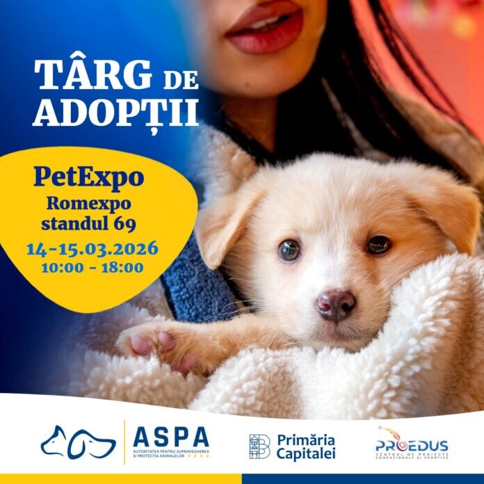 nou targ de adoptii organizat de aspa intre 14 si 15 martie 69a141a446ee2