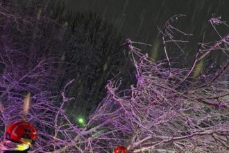 peste 100 de interventii ale pompierilor in bucuresti si ilfov copaci cazuti zeci de masini avariate 69955d1e61a0d