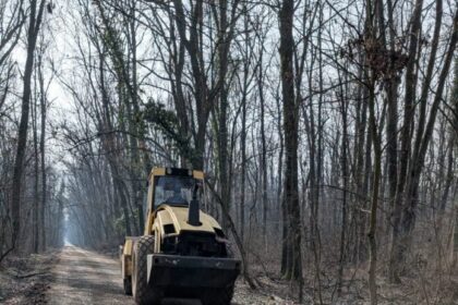 peste 19 000 de semnaturi pentru o petitie care cere instituirea regimului de arie protejata in padurea baneasa 69901a927cff3