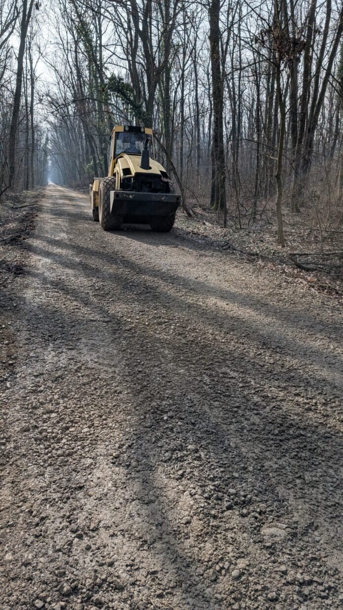 peste 19 000 de semnaturi pentru o petitie care cere instituirea regimului de arie protejata in padurea baneasa 69901a927cff3
