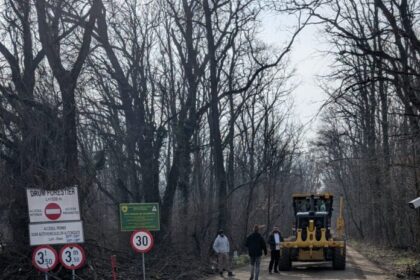 peste 19 000 de semnaturi pentru protejarea padurii baneasa ca arie naturala protejata 698f1d6c5ce96