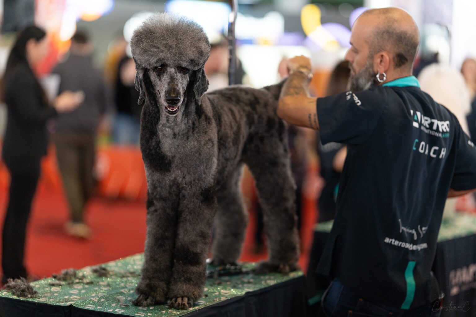 petexpo revine la bucuresti cu o noua editie intre 14 si 15 martie romexpo se transforma in cel mai mare loc de joaca pentru catei si pisici 699de7b39c79d