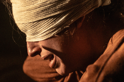 stagiunea internationala de teatru arcub 2026 debuteaza cu gaviota spectacol prezent la wiener festwochen 698c7377290bc