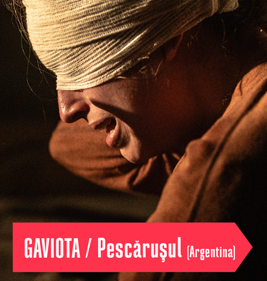 stagiunea internationala de teatru arcub 2026 debuteaza cu gaviota spectacol prezent la wiener festwochen 698c7377290bc