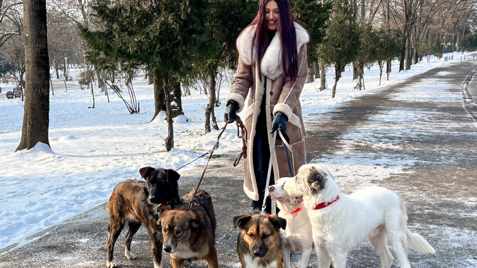 targ de adoptii aspa in dorobanti mai multi catelusi isi asteapta viitorii stapani la cafeneaua the brewprint unde vine si alina eremia 698c7f07affd8