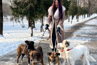 targ de adoptii aspa in dorobanti mai multi catelusi isi asteapta viitorii stapani la cafeneaua the brewprint unde vine si alina eremia 698c7f07affd8