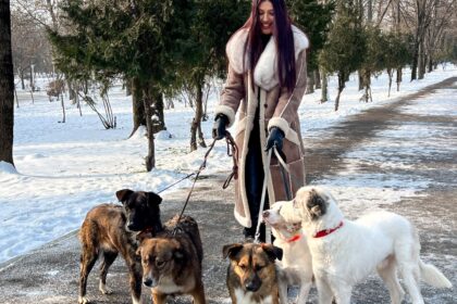 targ de adoptii aspa in dorobanti mai multi catelusi isi asteapta viitorii stapani la cafeneaua the brewprint unde vine si alina eremia 698c7f07affd8