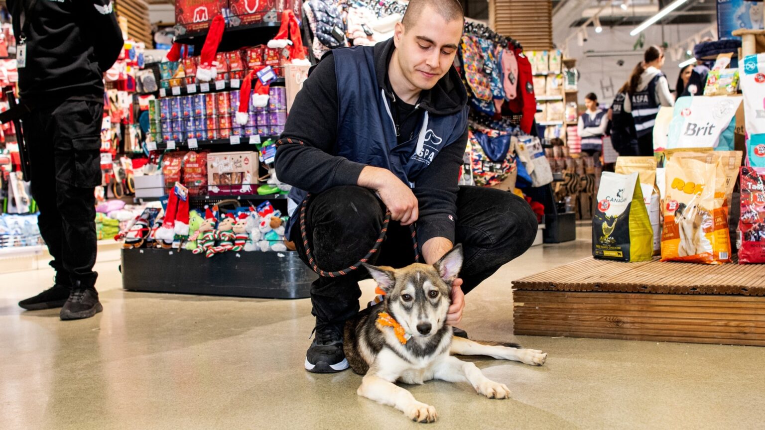 un nou targ de adoptii aspa are loc weekendul viitor in bucuresti catelusii vor fi prezenti la animax vulcan 6991b254ec207