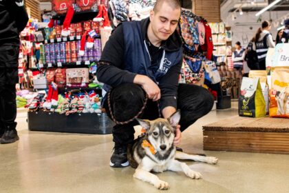 un nou targ de adoptii aspa are loc weekendul viitor in bucuresti catelusii vor fi prezenti la animax vulcan 6991b254ec207