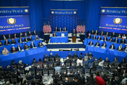 video de ce a ales nicusor dan sa participe la reuniunea consiliului pentru pace si nu a mers la davos sau la munchen 699768d063e9b