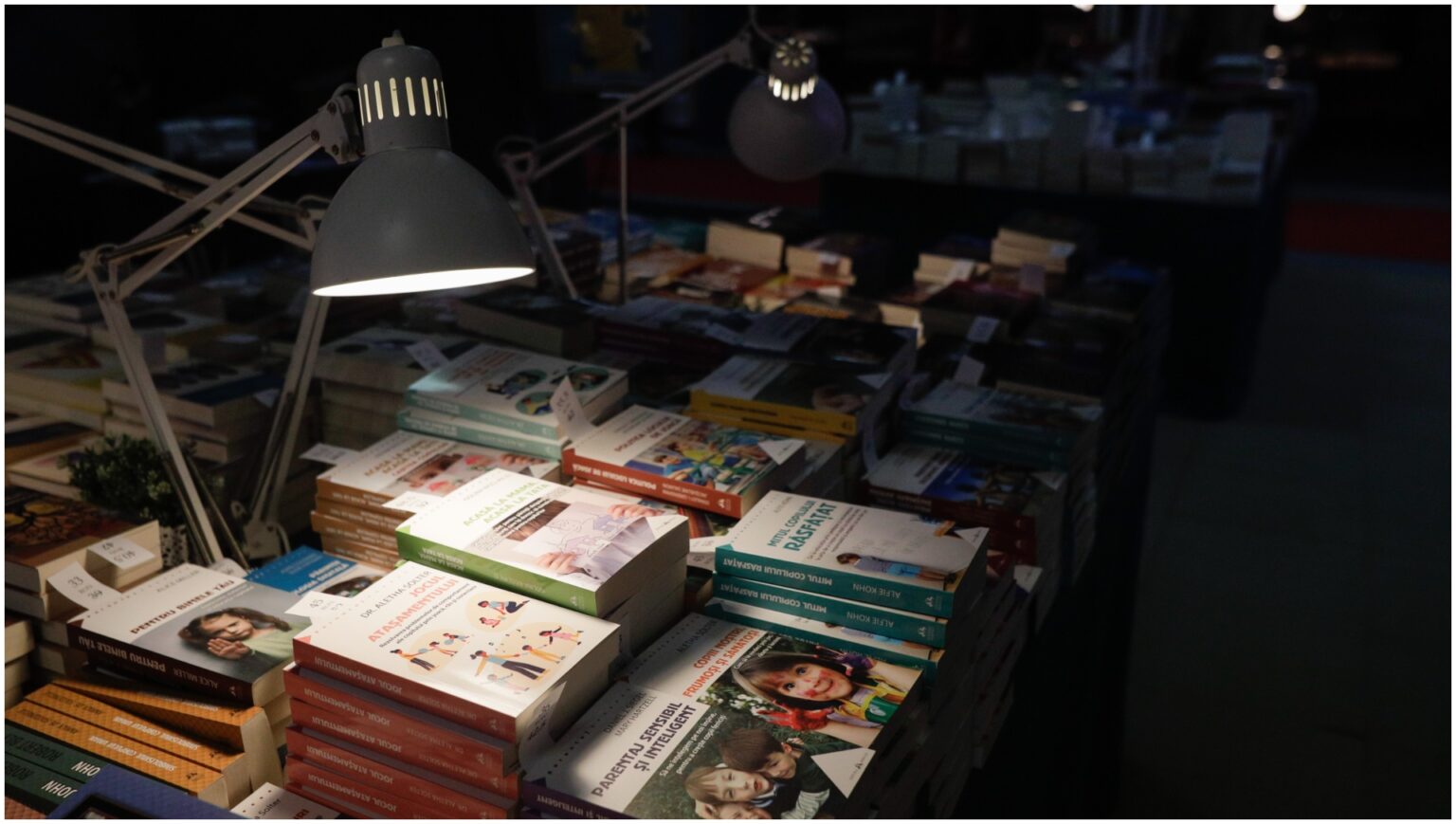 bookisit festivalul cartilor second hand din bucuresti e in weekend f09f9396 maison 13 devine paradis al cititului cu miros un pic lemnos cu vanilie iarba si migdale 69b025a9e0aed