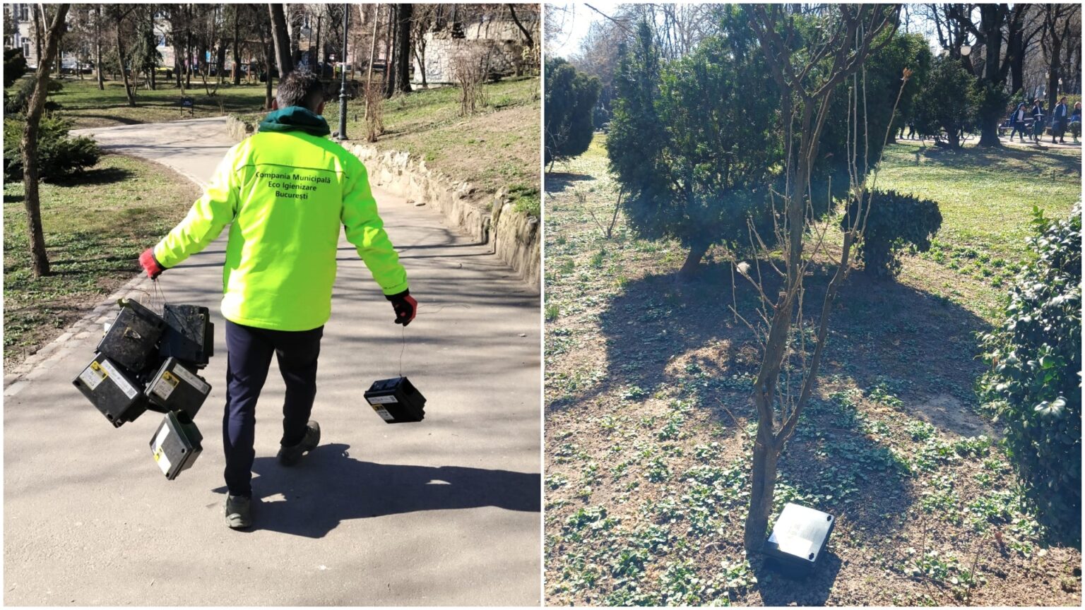 foto a inceput deratizarea generala in toate parcurile si spatiile verzi din bucuresti compania eco igienizare instaleaza si noi statii de intoxicare pentru sobolani 69b433a9a2a30