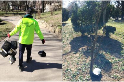 foto a inceput deratizarea generala in toate parcurile si spatiile verzi din bucuresti compania eco igienizare instaleaza si noi statii de intoxicare pentru sobolani 69b433a9a2a30