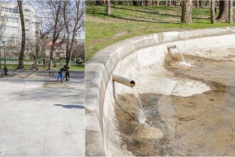 foto cuva lacului din parcul cismigiu va fi reumpluta cu apa in paralel angajatii pmb repara bancile si spala aleile de aici 69babe1b19089