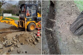 foto dezastru in parcul carol unde o firma a sapat un sant in aleea betonata si pe spatiul verde si a taiat radacinile mai multor copaci pmb anunta amenzi uriase 69bcee40e9130