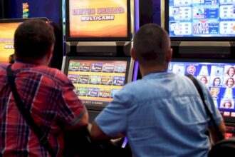 foto pacanelele contributie minuscula la economia sectorului 6 primarul moldovan ii intreaba pe bucurestenii din s6 ce cred despre interzicerea lor 69c0e41205a3e