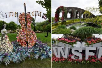 fotof09f8cbcwest side flower fest 2026 va fi in primul weekend din iunie care este tema celei de a patra editii a festivalului florilor din parcul drumul taberei 69a714283ed2b