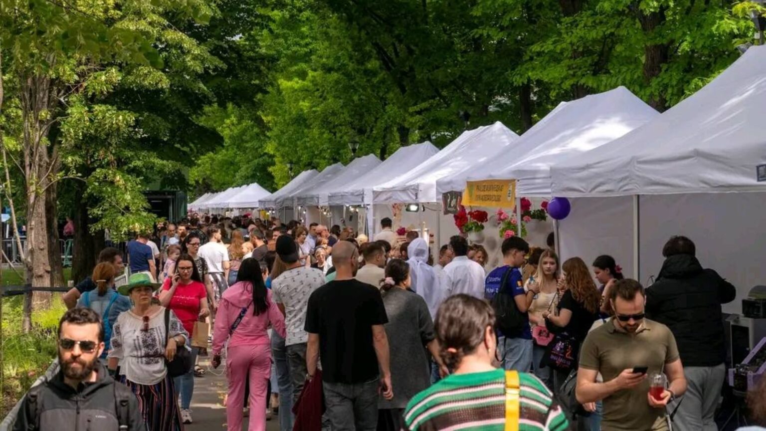 numaratoare inversa la west side flower fest mai sunt 6 zile in care comerciantii se pot inscrie la festivalul florilor din parcul drumul taberei 69c11c5ac0667